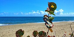 Playa Parchola, Dorado, Puerto Rico